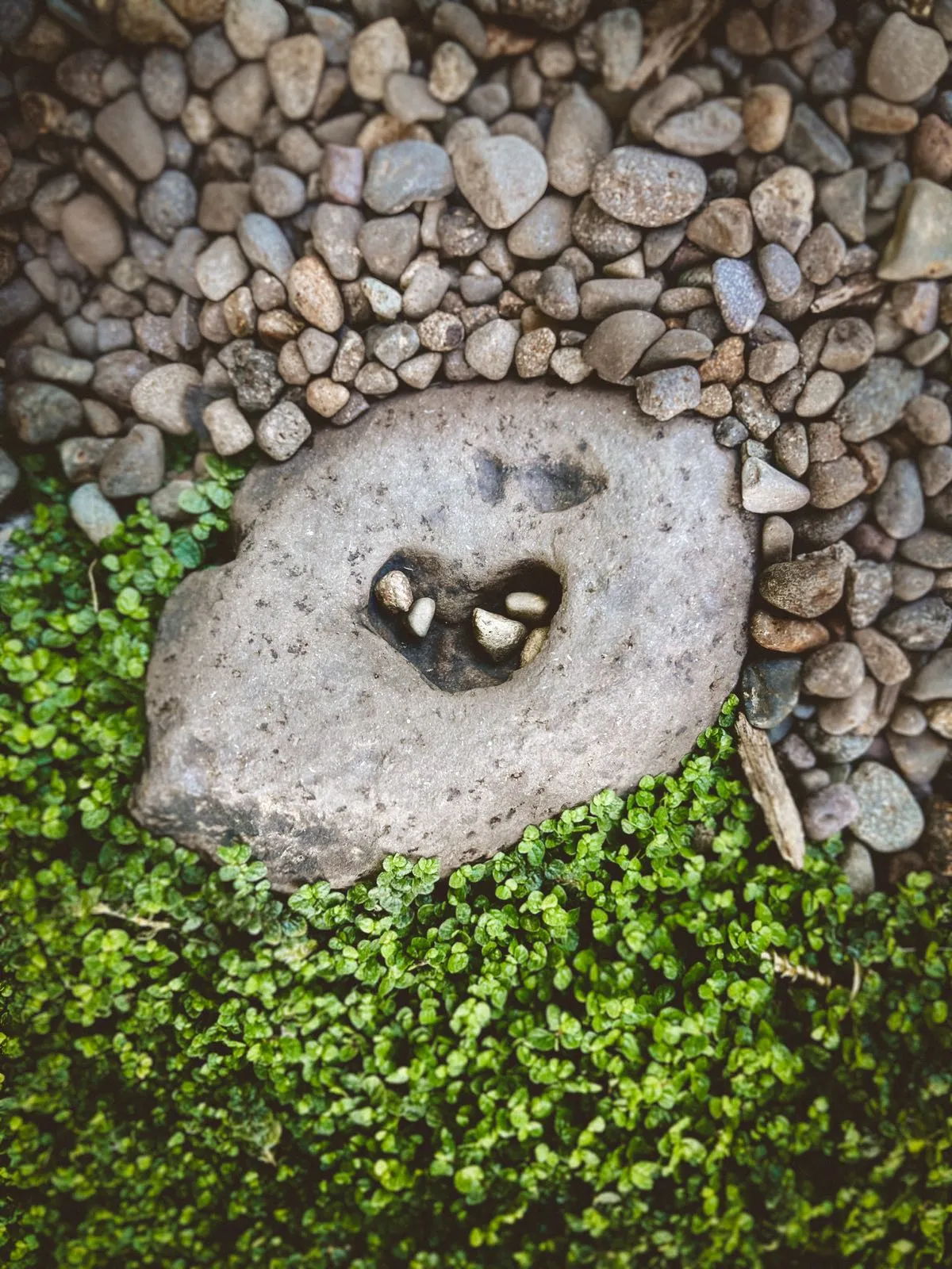 Heart-shaped rock resting on moss